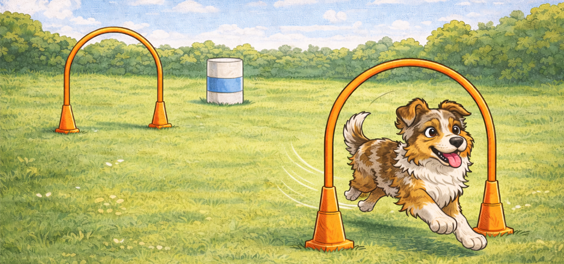 Schnupperkurs Hoopers